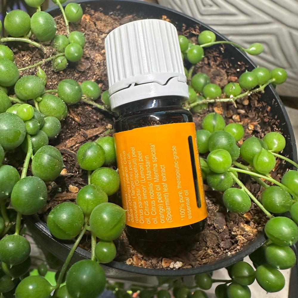 *Buy Now Priced* Young Living Citrus Fresh - Picture 2 of 3